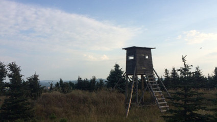Vysoká seč u Horní halže