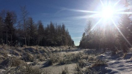 Přísečnická hora, Strážce, Brandberg, Kamenný vrch